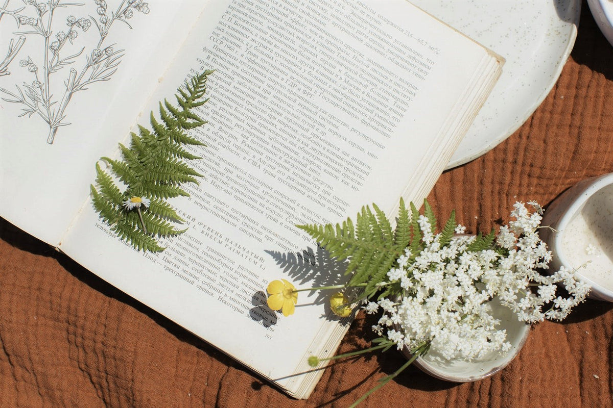Spring Outdoor Activities: 9 Amazing Things to Celebrate with Your Family