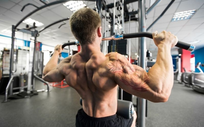 pull-day workout