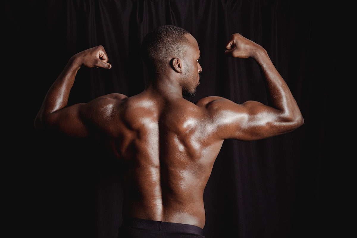 Best back and biceps dumbbell workouts
