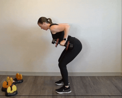 Bent Over Rows exercise demonstration