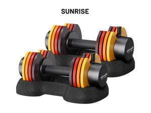 25 LB Adjustable Dumbbell Spark